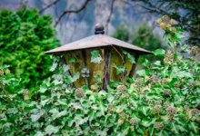 Hedera: HBAR bleibt unter wichtiger Fibonacci-Marke