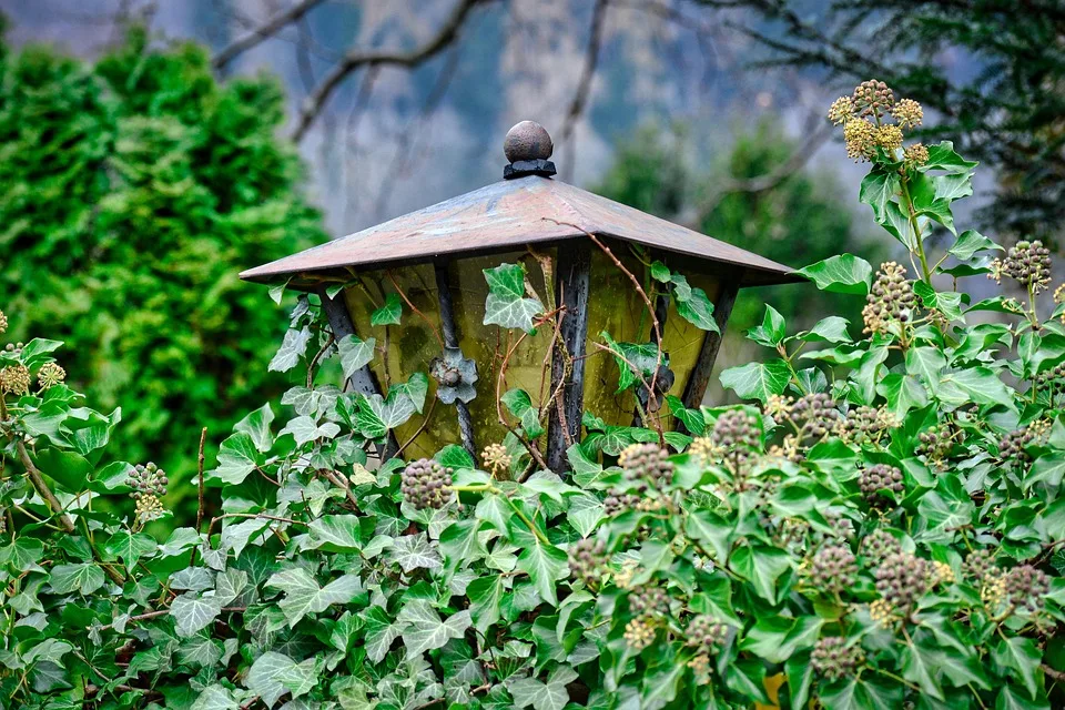 Hedera: HBAR bleibt unter wichtiger Fibonacci-Marke