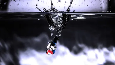 Bitmine Immersion: Rekordbestände und bevorstehende Hauptversammlung