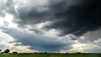 XRP-Fonds erreichen neue Höhen: Anleger sind gespannt