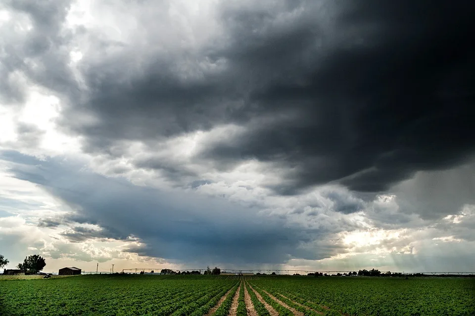 XRP-Fonds erreichen neue Höhen: Anleger sind gespannt