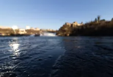 Cardano fällt um 57,3 %: Neue Chancen durch ETF-Review