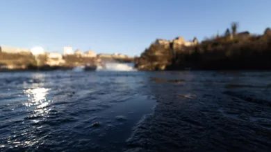 Cardano fällt um 57,3 %: Neue Chancen durch ETF-Review