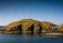 Bitcoin-Kurs unter Druck: Wale erhöhen Kaufaktivitäten