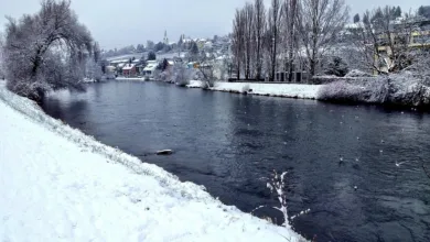 Zürichs Behörden schlagen dramatische Welle der Krypto-Kriminalität nieder