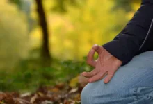 Cardano stärkt Position durch neue Stablecoins und Orakel-Lösungen