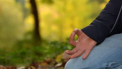 Cardano stärkt Position durch neue Stablecoins und Orakel-Lösungen