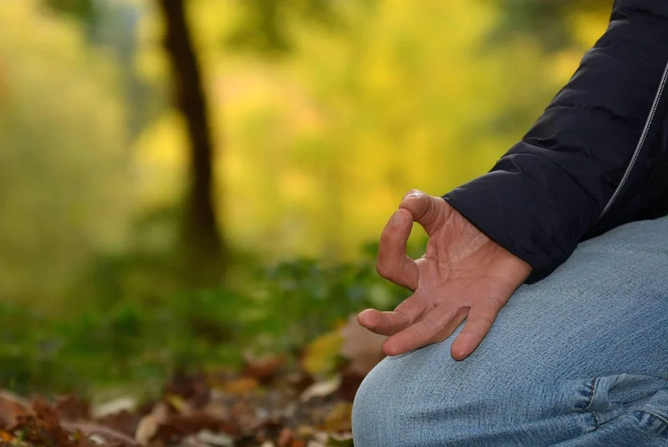 Cardano stärkt Position durch neue Stablecoins und Orakel-Lösungen