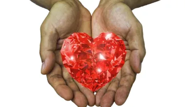 Krypto-Riesen erhalten Zustimmung für nationale Bankenlizenz