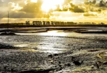 Michael Saylor investiert erneut: 10.624 Bitcoin gekauft.