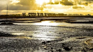 Michael Saylor investiert erneut: 10.624 Bitcoin gekauft.