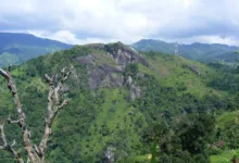 Kryptomarkt im Umbruch: Aufbruch zu neuen Höhen durch Angst