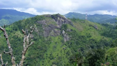 Kryptomarkt im Umbruch: Aufbruch zu neuen Höhen durch Angst