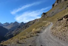 Trump und der Krypto-Markt: Aufstieg und dramatische Verluste