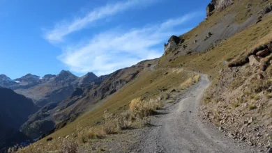 Trump und der Krypto-Markt: Aufstieg und dramatische Verluste