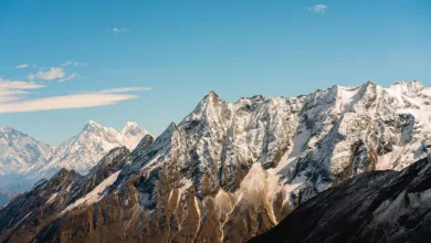 Krypto-Markt im Wandel: Aktuelle Kursentwicklungen im Blick