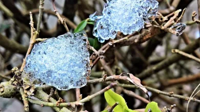 Bitcoin-Kurs: Erste Anzeichen für eine Trendwende erkennbar