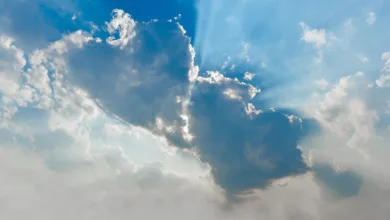 Drei Altcoins im Blick: Chancen zum Jahreswechsel 2026