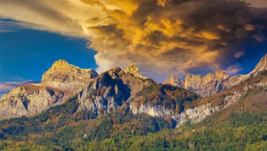 Exness 2025: Alles über Regulierung und Handelsmöglichkeiten