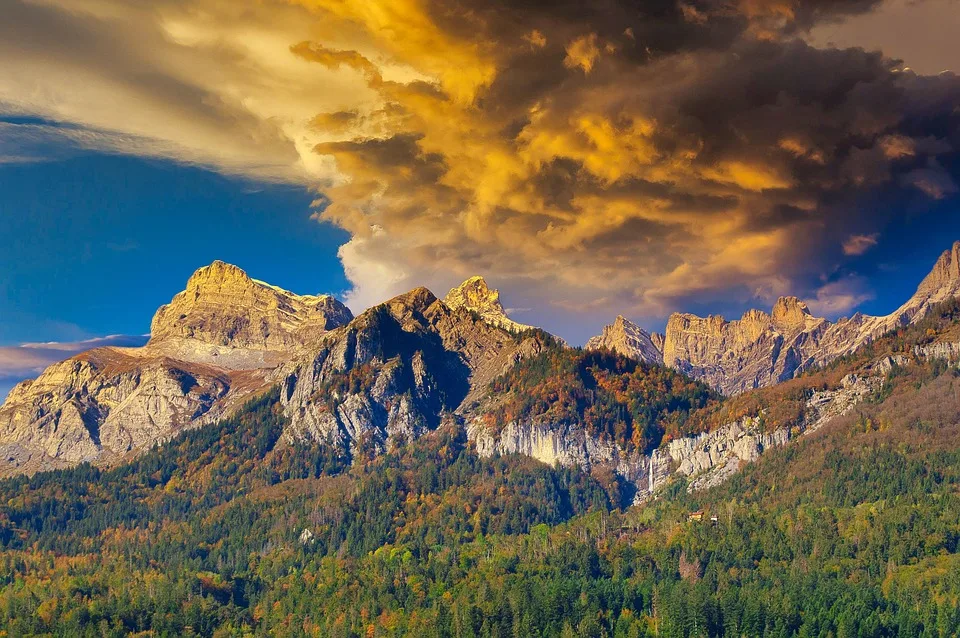 Exness 2025: Alles über Regulierung und Handelsmöglichkeiten