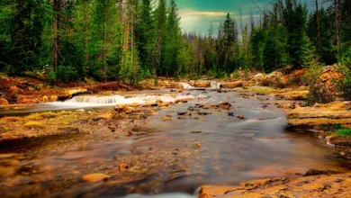 PayPal beantragt Banklizenz in Utah für bessere Kreditangebote