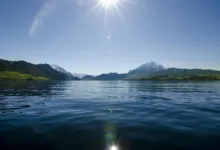 Zürichs Behörden zerschlagen große Geldwäsche mit Krypto