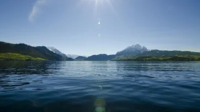 Zürichs Behörden zerschlagen große Geldwäsche mit Krypto