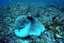 Kraken stärkt Marktstellung durch Übernahme von Backed Finance