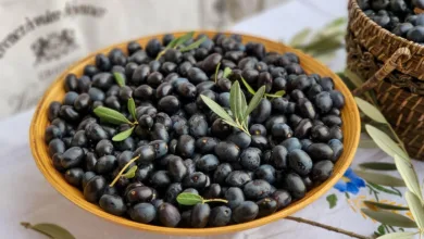 Kryptowährungsmärkte: Lokale Einblicke und aktuelle Trends