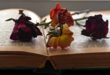 Ein perfekter Sturm: Krypto-Boom im ersten Quartal 2026?