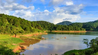 Liquiditätswelle bringt neuen Schwung für Ethereum und Markt