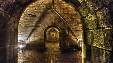 Ehemaliger Krypto-Unternehmer zu 15 Jahren Haft verurteilt