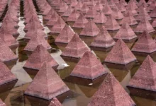 Vanguard eröffnet Zugang zu Krypto-Fonds für Anleger