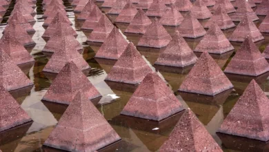 Vanguard eröffnet Zugang zu Krypto-Fonds für Anleger