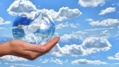 HTX erhält Genehmigung für digitale Vermögensdienste in Pakistan