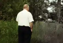 Altcoins im Fokus: Abwarten oder jetzt zuschlagen?