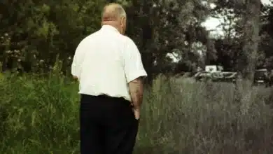 Altcoins im Fokus: Abwarten oder jetzt zuschlagen?