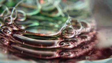 Banken und Fintechs: Chancen und Herausforderungen im Krypto-Zeitalter