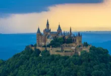 BullZilla: Die aufstrebende Legende unter den Krypto-Presales