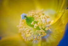 Polens Krypto-Zukunft in Gefahr: Veto bremst Fortschritt