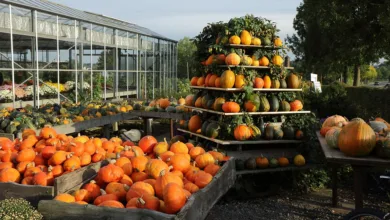 Strategys Bitcoin-Bestand: Angst vor Verkauf und Markteffekten