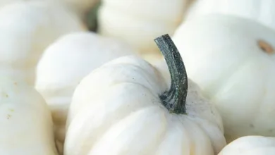 Krypto-Zahlungen revolutionieren lokale Geschäftsmodelle