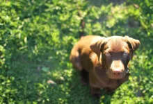 YO Labs sichert sich 10 Millionen US-Dollar für DeFi-Expansion