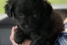 Kryptomarkt: Zwei Wochen extreme Angst prägen die Anlegerstimmung