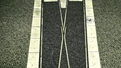 wXRP: Neue Perspektiven für XRP auf Solana und Ethereum