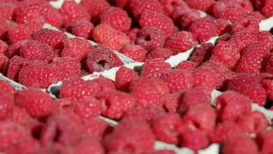 Bitcoin-Rückgang: Marktverkauf trifft lokale Investoren