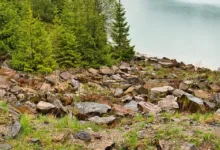 GoTyme Bank startet Krypto-Handel in den Philippinen