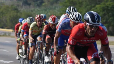 Krypto-Märkte 2026: Potenziale und Herausforderungen im Blick