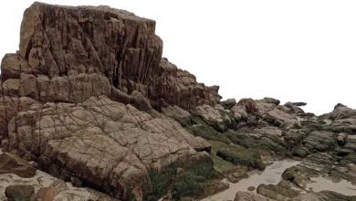 Langfristige Bitcoin-Fundamentaldaten trotz Kursschwankungen stabil