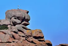 Krypto-Skandal: Do Kwon erhält 15 Jahre Haft in New York